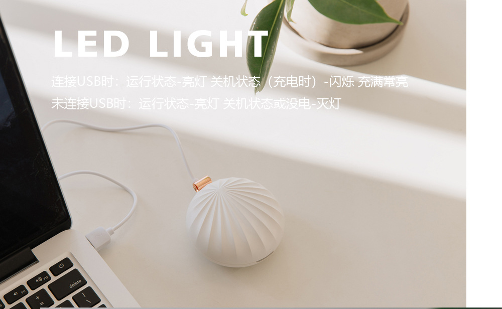 20190509_103020_158.jpg