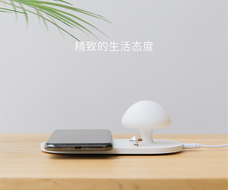 20190509_101719_107.jpg